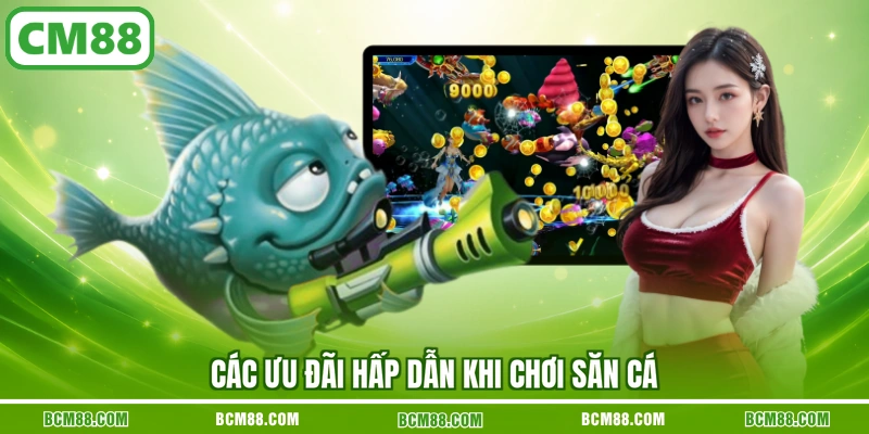 Các ưu đãi hấp dẫn khi chơi săn cá Các ưu đãi hấp dẫn khi chơi săn cá
