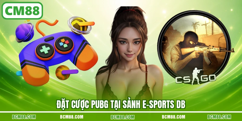 Đặt cược PUBG tại sảnh E-sports DB Đặt cược PUBG tại sảnh E-sports DB