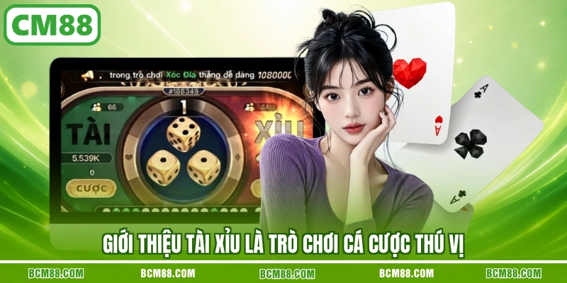 Giới thiệu Tài Xỉu là trò chơi cá cược thú vị Giới thiệu Tài Xỉu là trò chơi cá cược thú vị