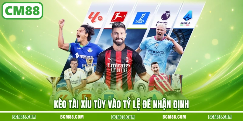 Kèo tài xỉu tùy vào tỷ lệ để nhận định Kèo tài xỉu tùy vào tỷ lệ để nhận định