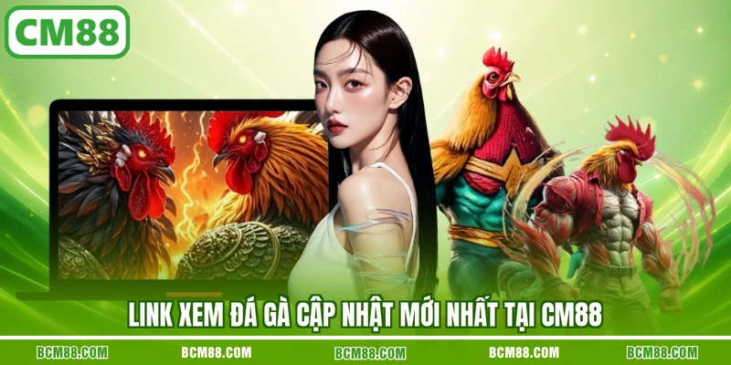 Link xem đá gà cập nhật mới nhất tại CM88 Link xem đá gà cập nhật mới nhất tại CM88