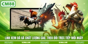 Link xem da ga chat luong cao theo doi truc tiep moi ngay