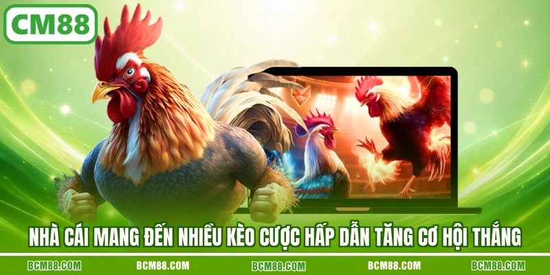 Nhà cái mang đến nhiều kèo cược hấp dẫn tăng cơ hội thắng Nhà cái mang đến nhiều kèo cược hấp dẫn tăng cơ hội thắng