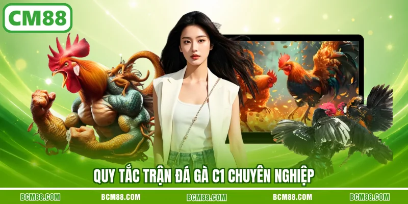 Quy tắc trận đá gà C1 chuyên nghiệp Quy tắc trận đá gà C1 chuyên nghiệp