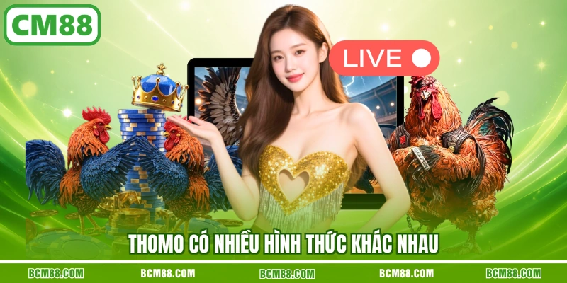 Thomo có nhiều hình thức khác nhau Thomo có nhiều hình thức khác nhau