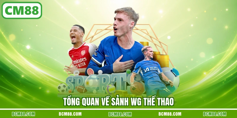 Tổng quan về sảnh WG thể thao Tổng quan về sảnh WG thể thao