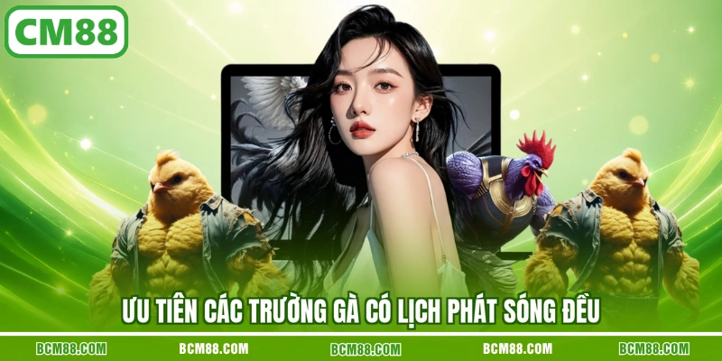 Ưu tiên các trường gà có lịch phát sóng đều Ưu tiên các trường gà có lịch phát sóng đều