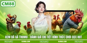 Xem da ga thomo danh gia chi tiet hinh thuc choi cuc hot